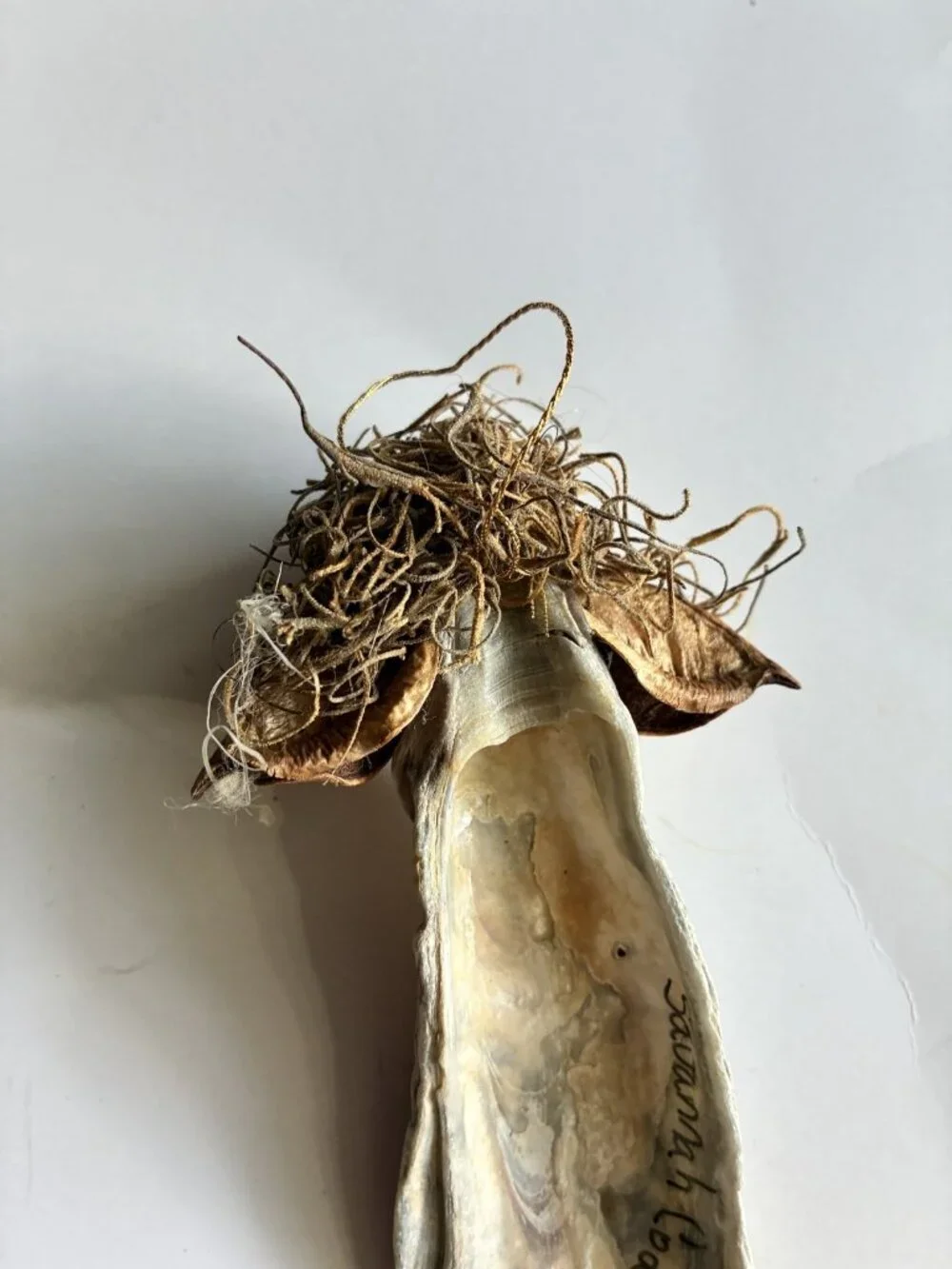 Coastal Angel Ornament Handmade Oyster Shell Savannah Christmas Decor